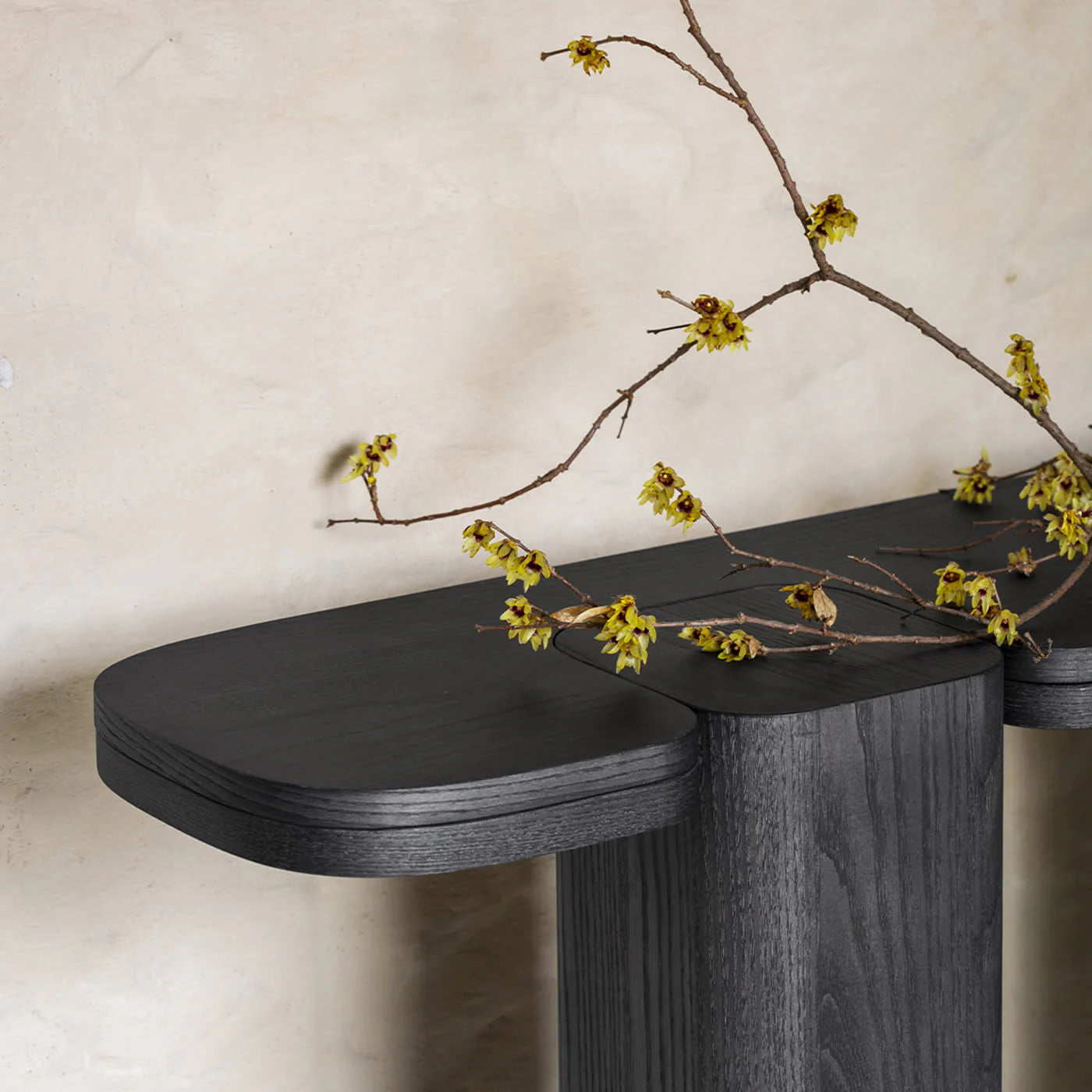 Erice Console Table